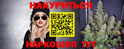 стафф Моздок