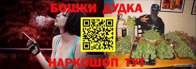 стафф Моздок