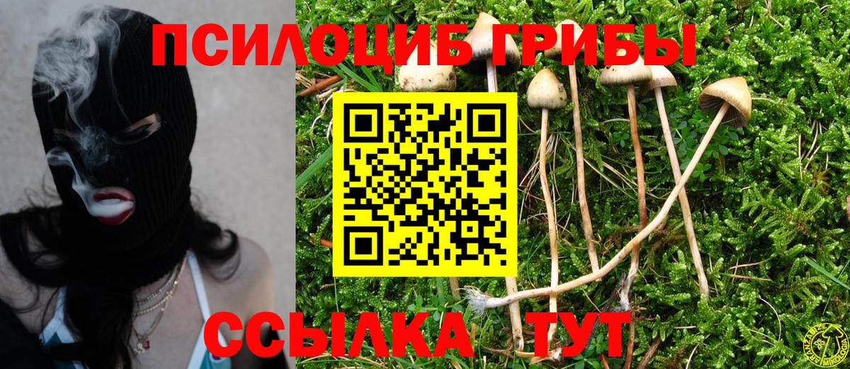 Галлюциногенные грибы ЛСД Сызрань